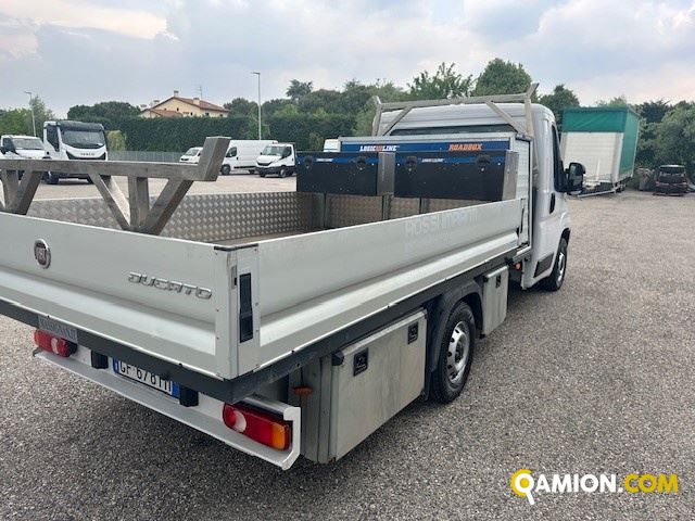 Fiat Mod. FIAT Vers. FIAT | Leggero Cabinato <= 35 q.li Cassone fisso | INDUSTRIAL CARS S.P.A