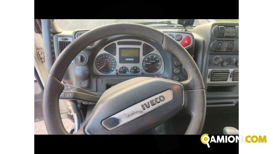 Iveco Mod. IVECO Vers. IVECO | Leggero Cabinato > 35 q.li Trasporto animali | INDUSTRIAL CARS S.P.A