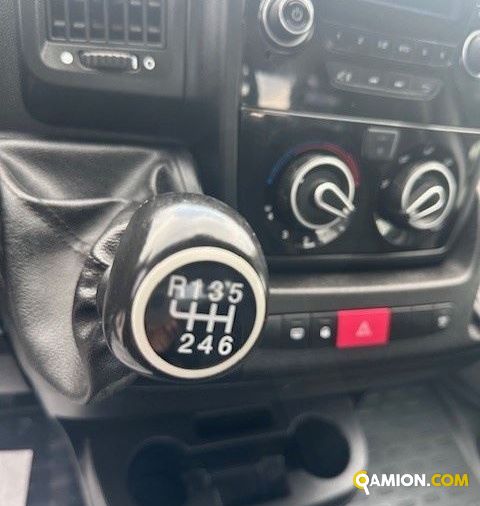Fiat Mod. FIAT Vers. FIAT | Leggero Cabinato <= 35 q.li Cassone fisso | INDUSTRIAL CARS S.P.A