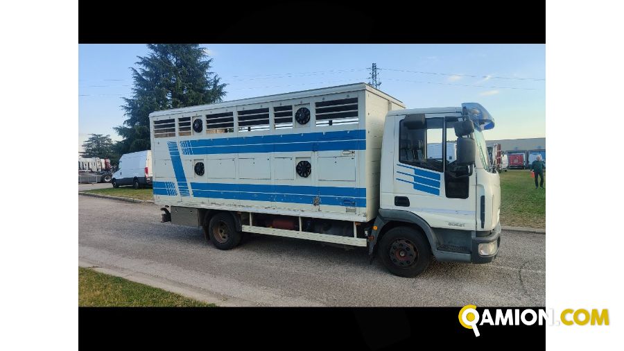 Iveco Mod. IVECO Vers. IVECO | Leggero Cabinato > 35 q.li Trasporto animali | INDUSTRIAL CARS S.P.A