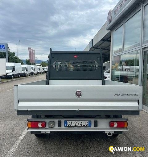 Fiat Mod. FIAT Vers. FIAT | Leggero Cabinato <= 35 q.li Cassone fisso | INDUSTRIAL CARS S.P.A