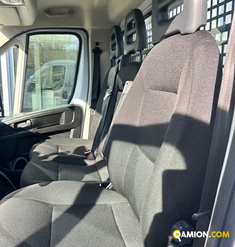 Fiat Mod. FIAT Vers. FIAT | Leggero Cabinato <= 35 q.li Cassone fisso | INDUSTRIAL CARS S.P.A