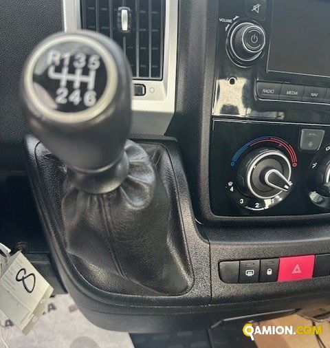 Fiat Mod. FIAT Vers. FIAT | Leggero Cabinato <= 35 q.li Telaio | INDUSTRIAL CARS S.P.A