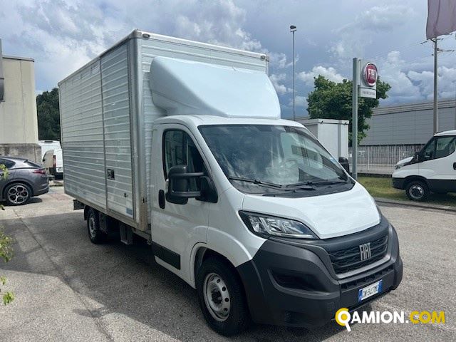 Fiat Mod. FIAT Vers. FIAT | Leggero Cabinato <= 35 q.li Furgonato | INDUSTRIAL CARS S.P.A