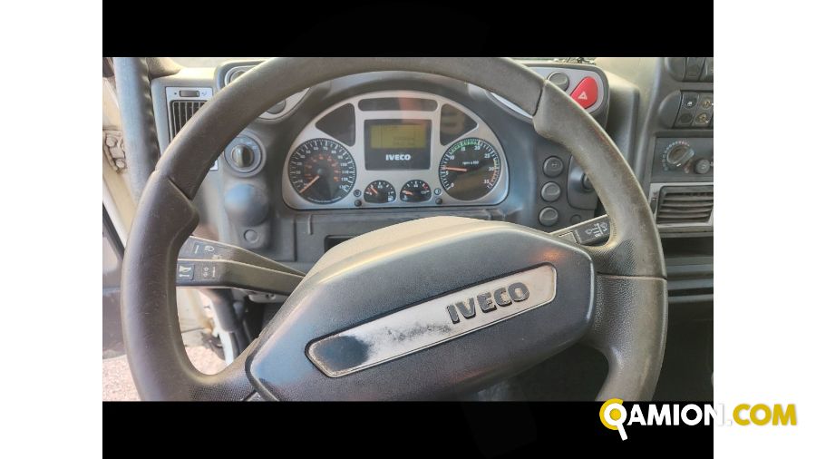 Iveco Mod. IVECO Vers. IVECO | Leggero Cabinato > 35 q.li Trasporto animali | INDUSTRIAL CARS S.P.A