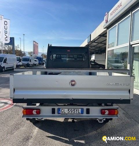 Fiat Mod. FIAT Vers. FIAT | Leggero Cabinato <= 35 q.li Cassone fisso | INDUSTRIAL CARS S.P.A