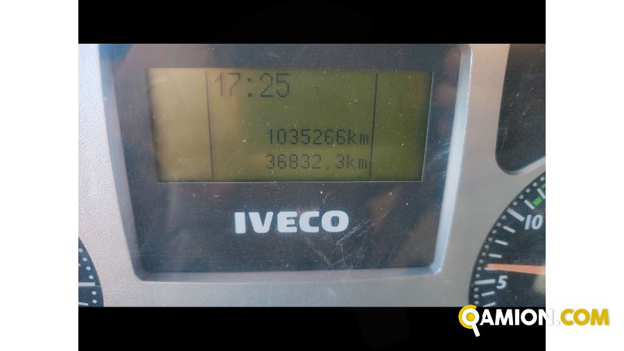 Iveco Mod. IVECO Vers. IVECO | Leggero Cabinato > 35 q.li Trasporto animali | INDUSTRIAL CARS S.P.A