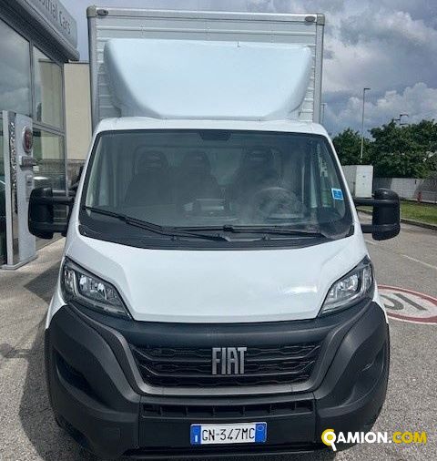 Fiat Mod. FIAT Vers. FIAT | Leggero Cabinato <= 35 q.li Furgonato | INDUSTRIAL CARS S.P.A