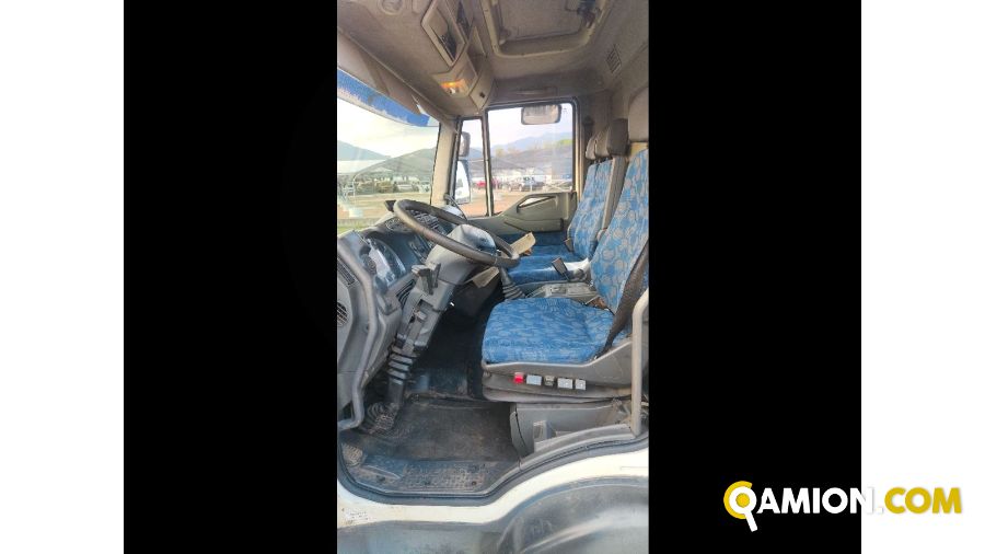 Iveco Mod. IVECO Vers. IVECO | Leggero Cabinato > 35 q.li Trasporto animali | INDUSTRIAL CARS S.P.A