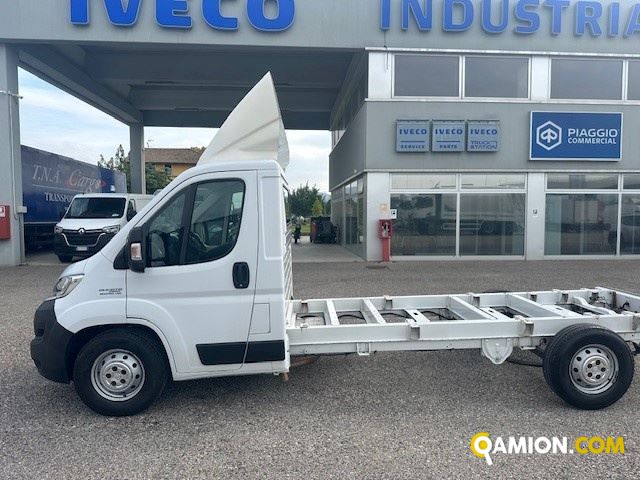 Fiat Mod. FIAT Vers. FIAT | Leggero Cabinato <= 35 q.li Telaio | INDUSTRIAL CARS S.P.A