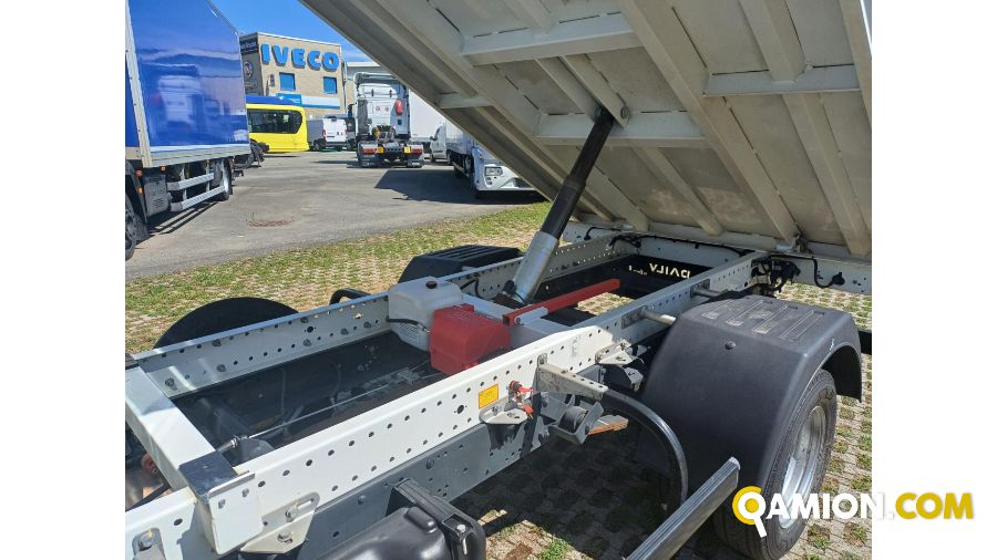 Iveco DAILY 35C14 DAILY 35C14 | Altro Altro | Iveco Orecchia