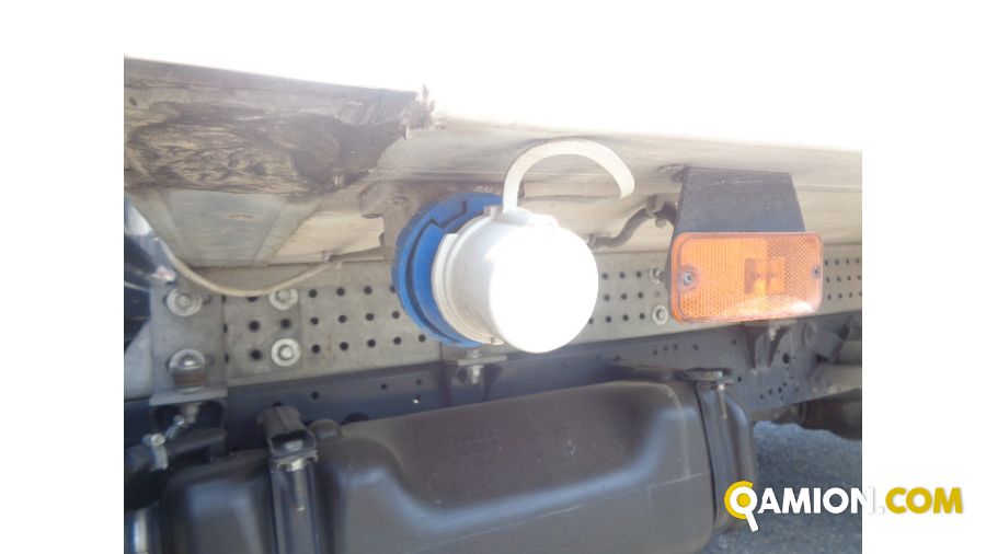 Iveco DAILY 35C16 DAILY 35C16 | Altro Altro | Iveco Orecchia