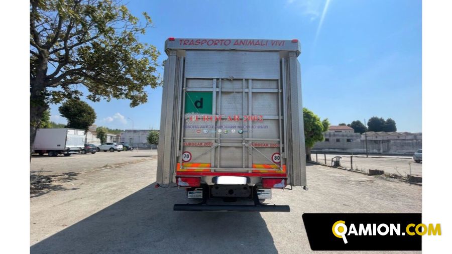 Man Tgx 26 500 Tgx 26 500 | EUROCAR2002 S.R.L.S.