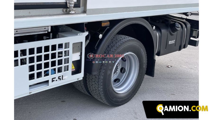 Daf Lf 45 250 2 Assi 115Q Lf 45 250 2 Assi 115Q | EUROCAR2002 S.R.L.S.