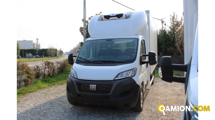 Fiat DUCATO ducato maxi | Frattin Auto