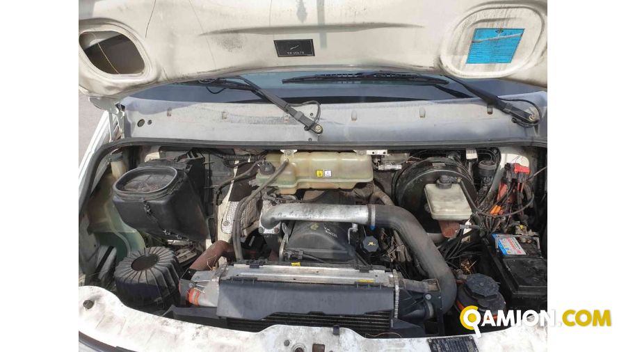 Iveco DAILY 50C13 6 MARCE FRIGORIFERO | Altro Altro