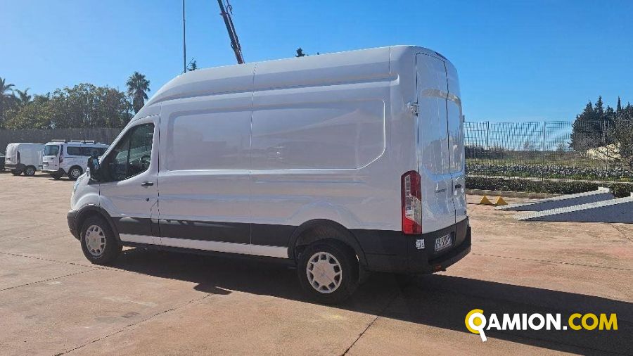 Ford TRANSIT  | Altro Altro | Rizzo Veicoli Industriali Srl