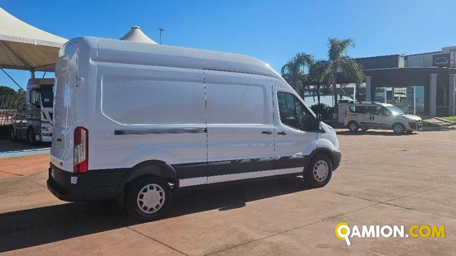 Ford TRANSIT  | Altro Altro | Rizzo Veicoli Industriali Srl