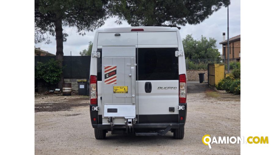 Fiat DUCATO DUCATO | spc servizi srl