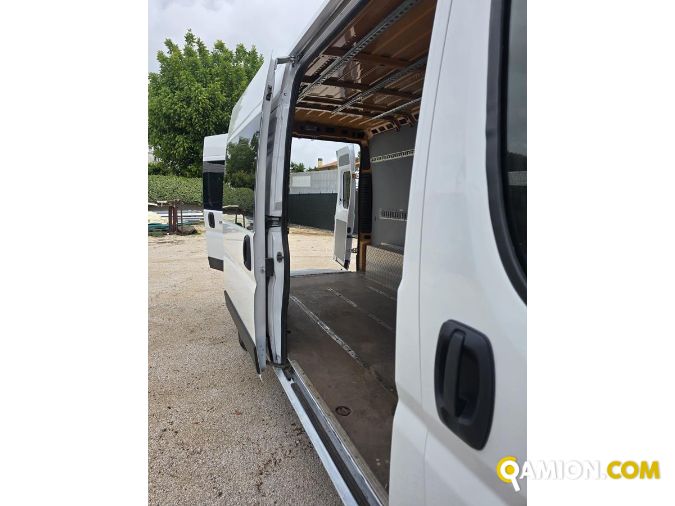 Fiat DUCATO DUCATO | spc servizi srl