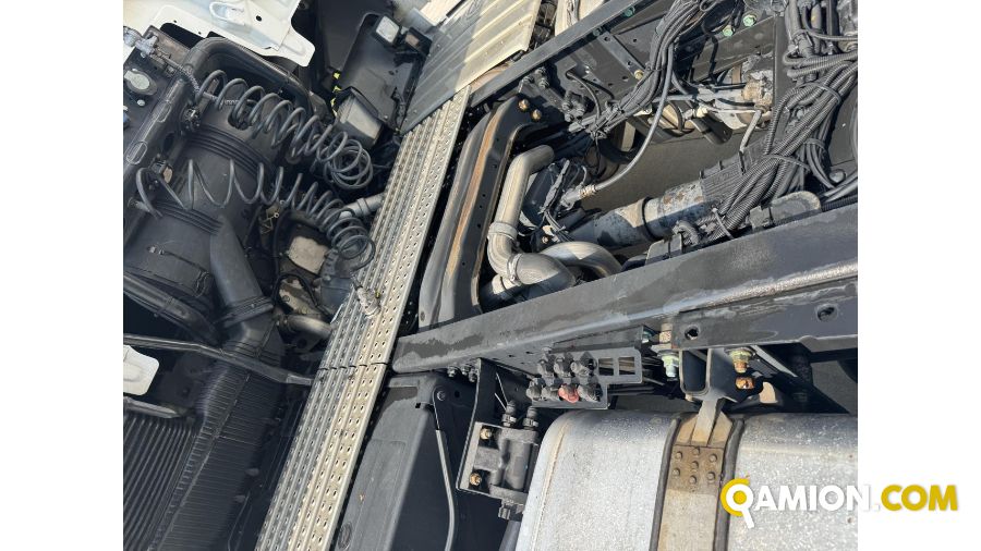 Man TGX 18.500 4X2 BLS TGX 18.500 4X2 BLS | Altro Altro | Eurodiesel Srl