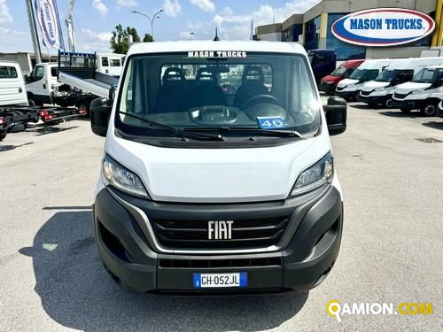Fiat DUCATO ducato maxi | Mason Trucks