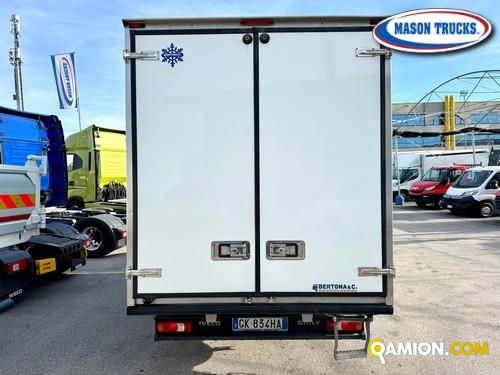 Iveco DAILY 35C16 DAILY 35C16 | Mason Trucks