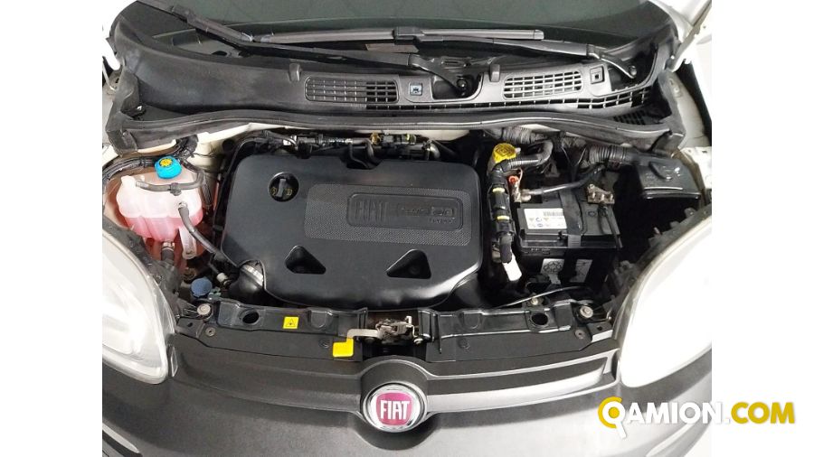 Fiat PANDA panda | Centro Auto Rossi SRL
