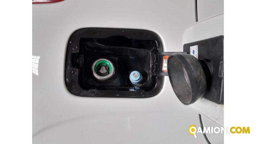 Fiat PANDA panda | Centro Auto Rossi SRL
