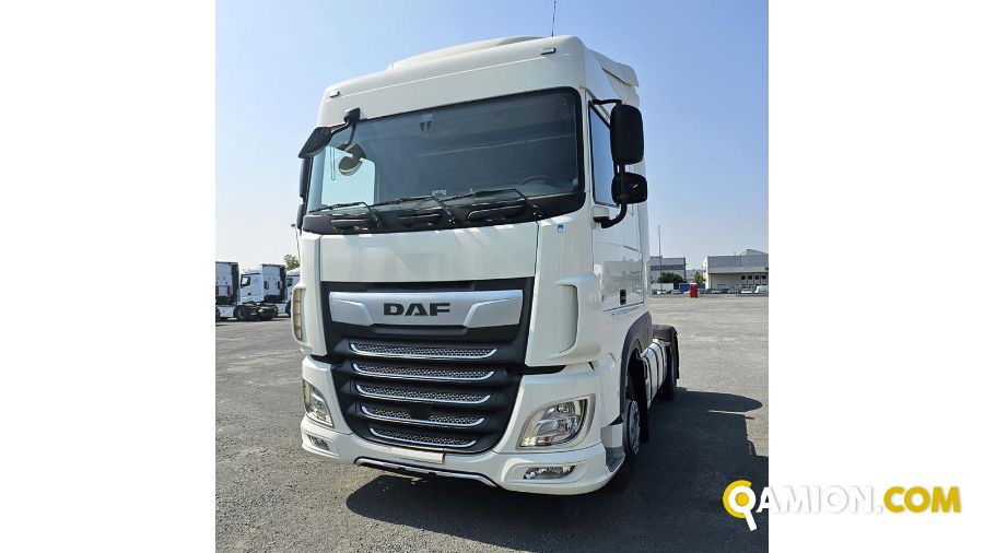 Daf XF xf480 | OVIP S.r.l.