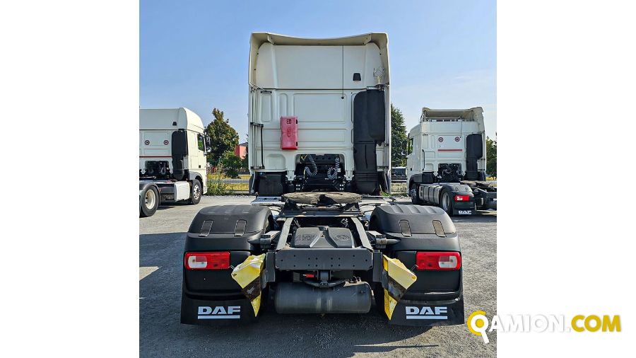 Daf XF xf480 | OVIP S.r.l.
