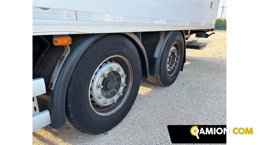 Man TGX tgx26.480 | Altro Altro | S.G. TRADING S.R.L.