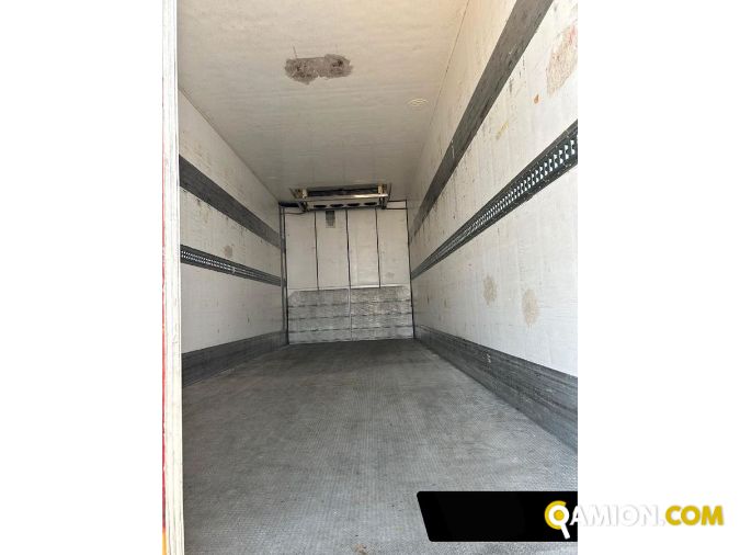 Man TGX tgx26.480 | Altro Altro | S.G. TRADING S.R.L.
