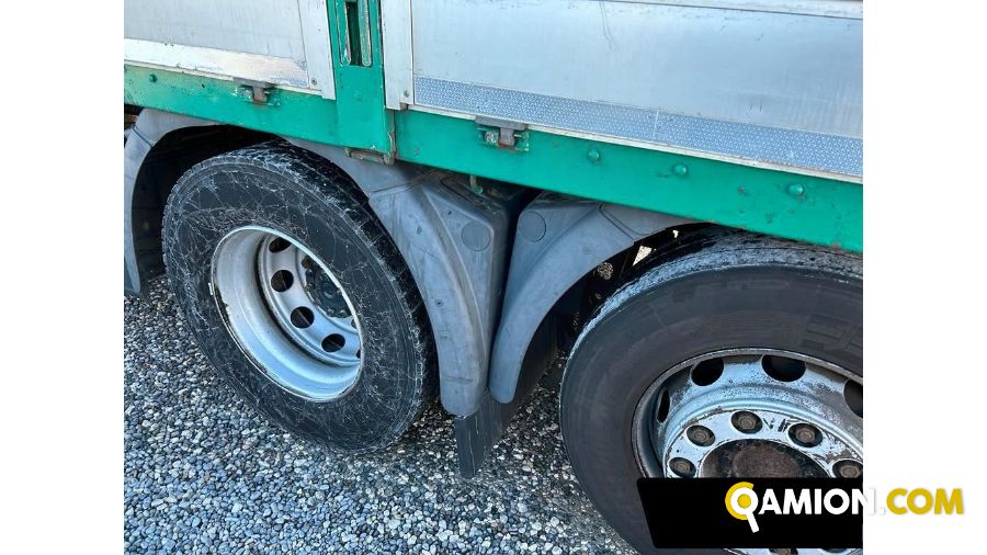 Man TGX tgx26.360 | Altro Altro | S.G. TRADING S.R.L.