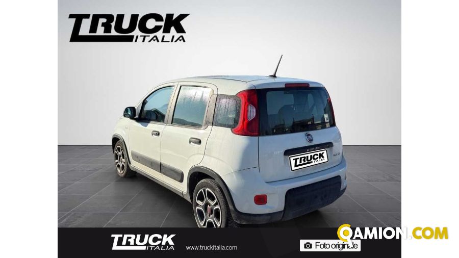 Fiat Panda III Panda van 1.0 hybrid Street 70cv 4p.ti serie 4 E6d | Altro Altro | Truck Italia S.p.a.