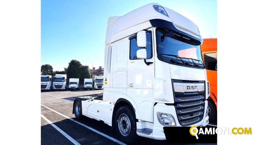 Daf XF 480 FT XF 480 FT | Altro Altro | Lodotruck Srl