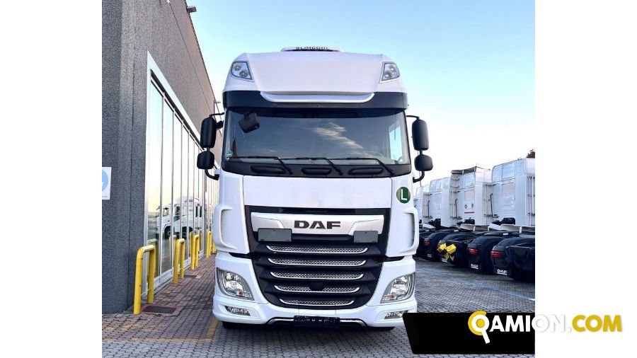 Daf XF 480 FT XF 480 FT | Altro Altro | Lodotruck Srl