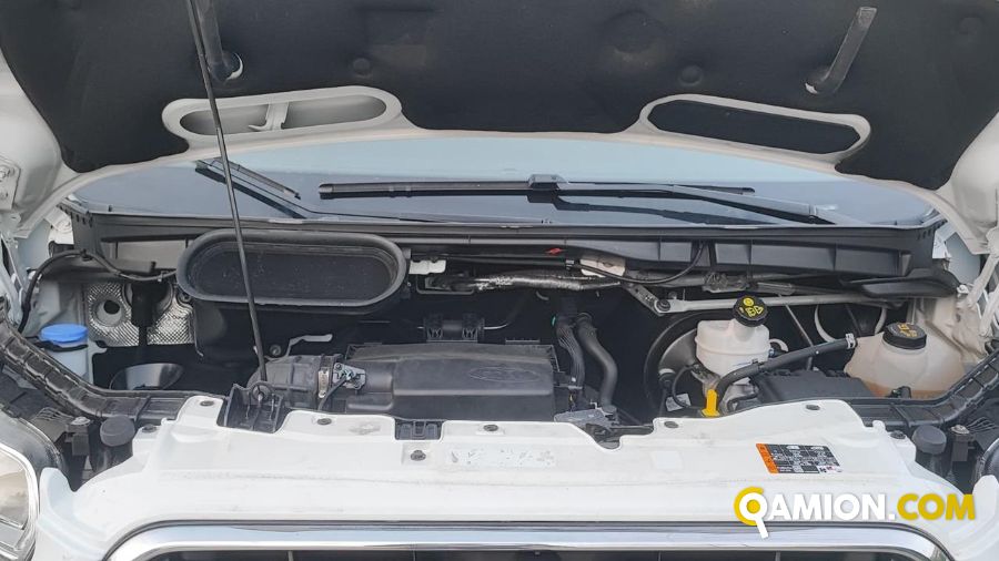 Ford Transit VII 350 RWD 2019 - transit 350 tr.post. 2.0 tdci MHE Transit VII 350 RWD 2019 - transit 350 tr.post. 2.0 tdci MHE | CILIFRESE DOMENICO