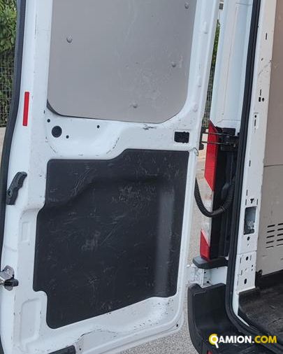 Ford Transit VII 350 RWD 2019 - transit 350 tr.post. 2.0 tdci MHE Transit VII 350 RWD 2019 - transit 350 tr.post. 2.0 tdci MHE | CILIFRESE DOMENICO