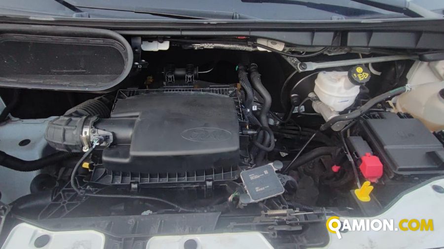Ford Transit VII 350 RWD 2019 - transit 350 tr.post. 2.0 tdci MHE Transit VII 350 RWD 2019 - transit 350 tr.post. 2.0 tdci MHE | CILIFRESE DOMENICO