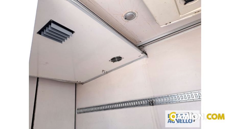 Iveco DAILY daily 50c15 | Motrice Isotermico / coibentato | Borgo Agnello S.p.A.