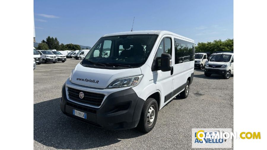 Fiat DUCATO DUCATO | Bus Minibus | Borgo Agnello S.p.A.