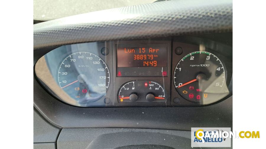 Iveco DAILY daily 50c15 | Motrice Isotermico / coibentato | Borgo Agnello S.p.A.
