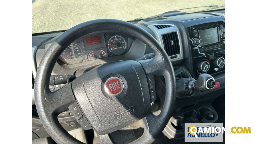Fiat DUCATO DUCATO | Bus Minibus | Borgo Agnello S.p.A.