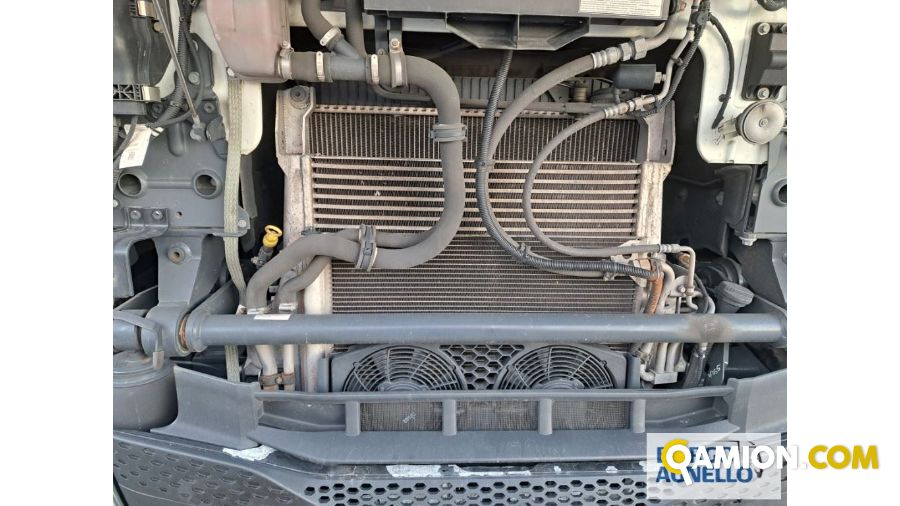 Iveco S-WAY AS440S48 T/P S-WAY AS440S48 T/P | Trattore Trattore | Borgo Agnello S.p.A.