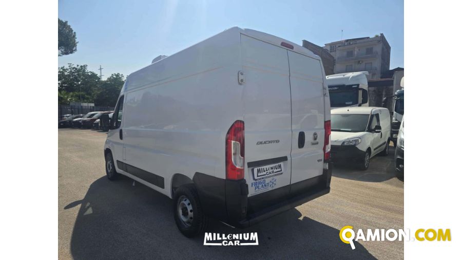 Fiat DUCATO DUCATO | Millenium Car