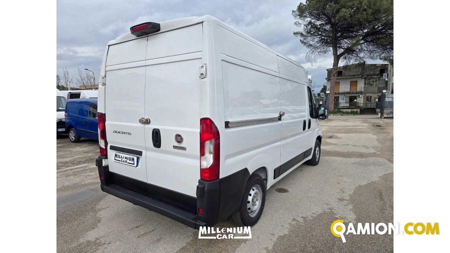 Fiat DUCATO DUCATO | Millenium Car