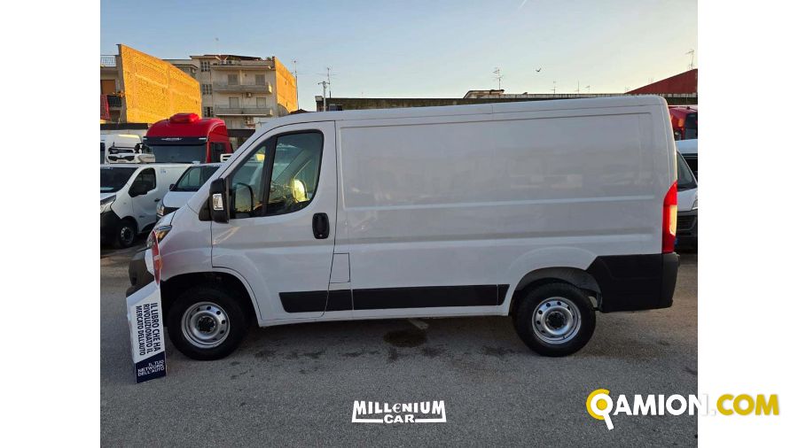 Fiat DUCATO DUCATO | Millenium Car