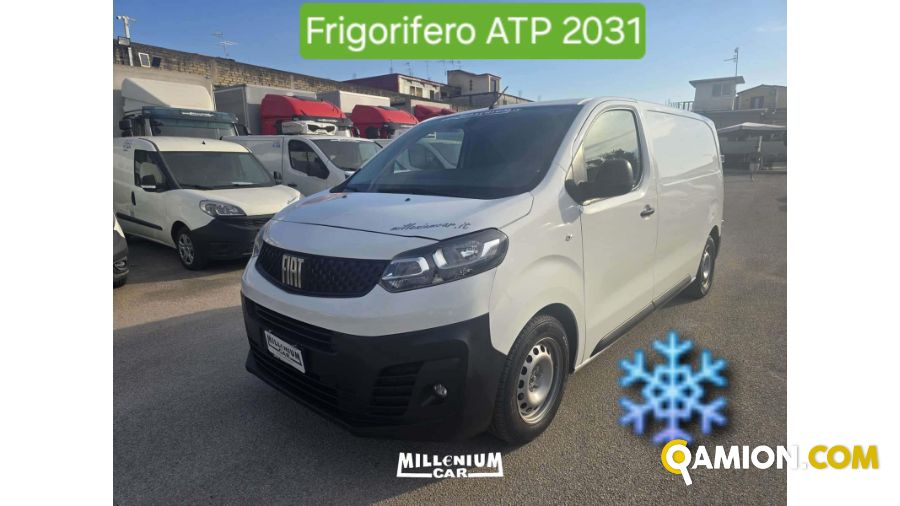 Fiat SCUDO SCUDO | Millenium Car