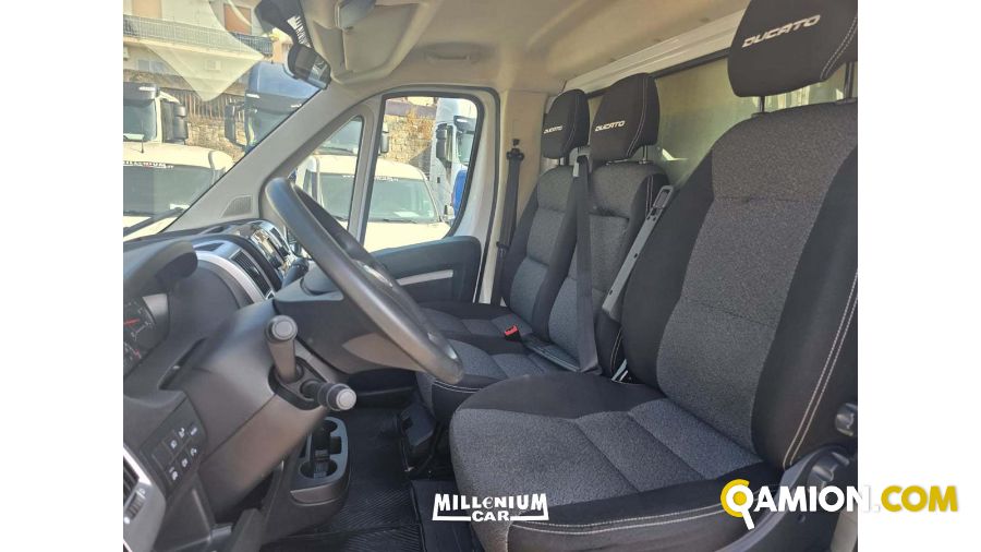Fiat DUCATO MAXI C.A. DUCATO MAXI C.A. | Millenium Car